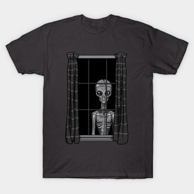 The Visitor T-Shirt by JenniferSmith